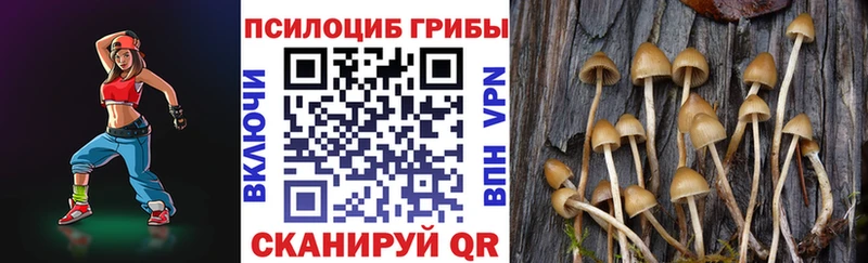 Купить Апрелевка Галлюциногенные грибы Psilocybine cubensis
